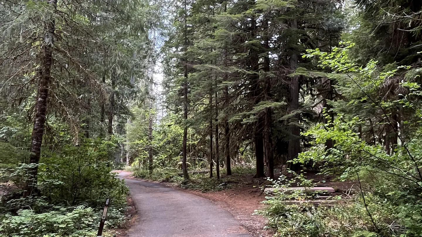 HUMBUG CAMPGROUND campground in US