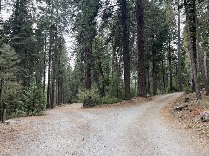 PONDEROSA COVE CAMPGROUND campground in California