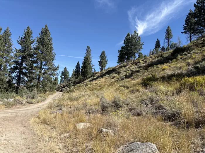 Markleeville Campground