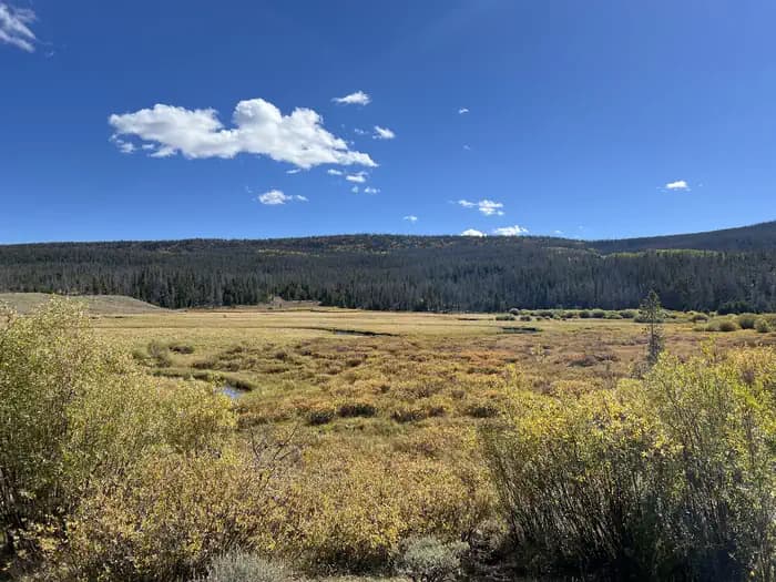 China Meadows Campground in Wyoming