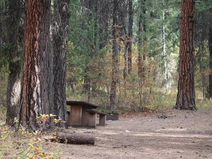 PARK CREEK (IDAHO) campground in Idaho