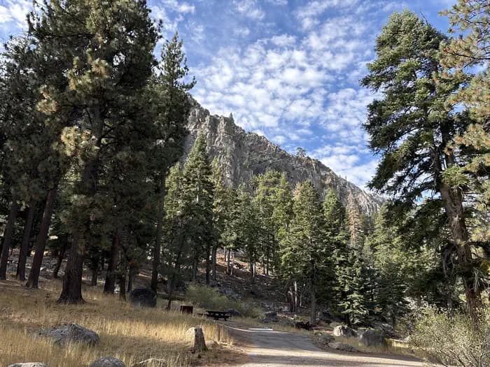 Crystal Springs Campground in California