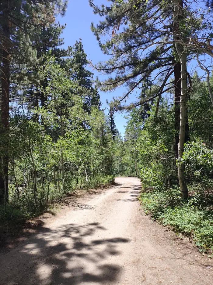 Leavitt Meadows Campground