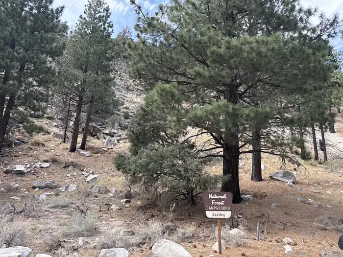 Bootleg Campground