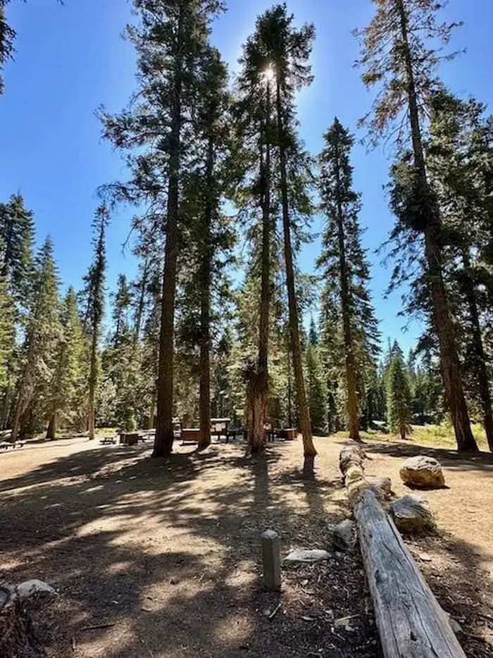 FIR GROUP campground in California