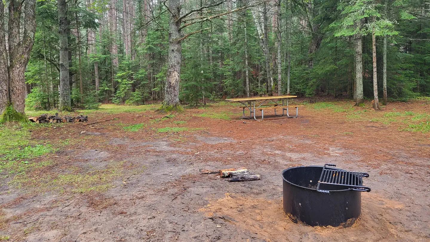 Camp Cook Campsite campground in Michigan