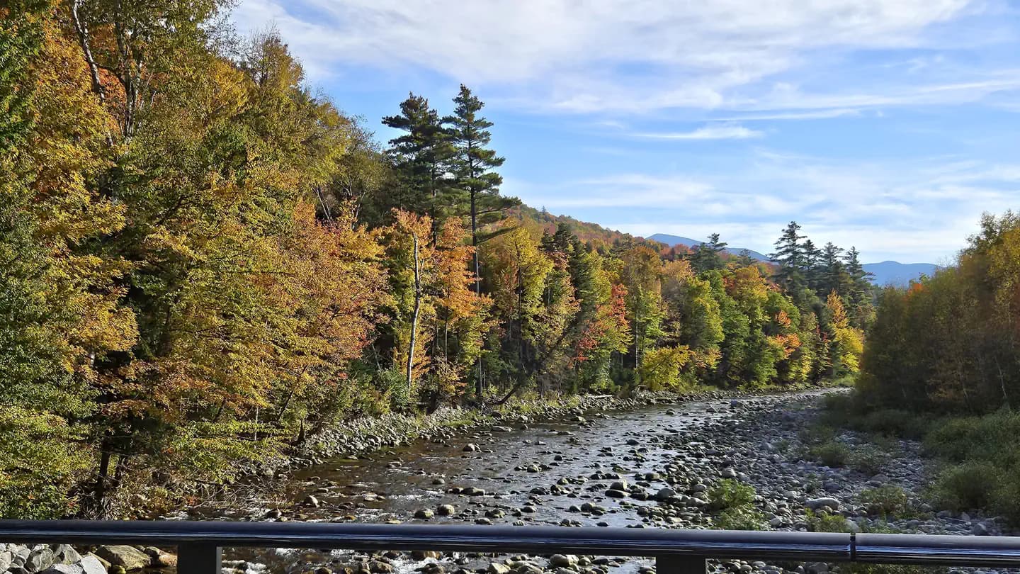BARNES FIELD CAMPGROUND campground in New Hampshire