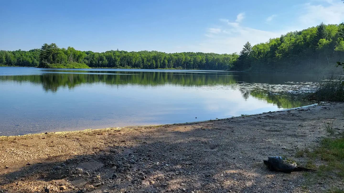 Cookson Lake Campsites campground in Michigan