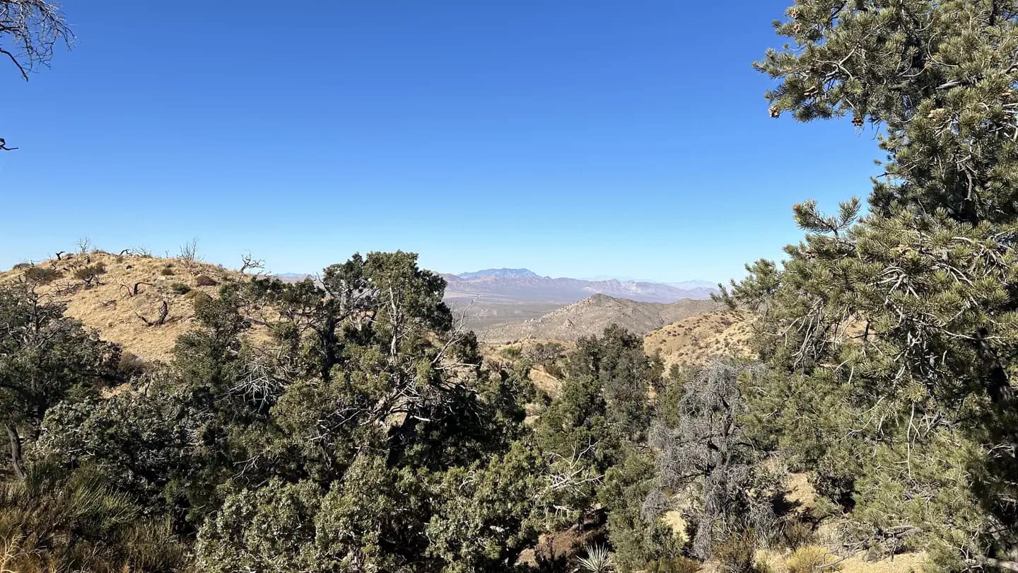 Mid Hills Campground in California