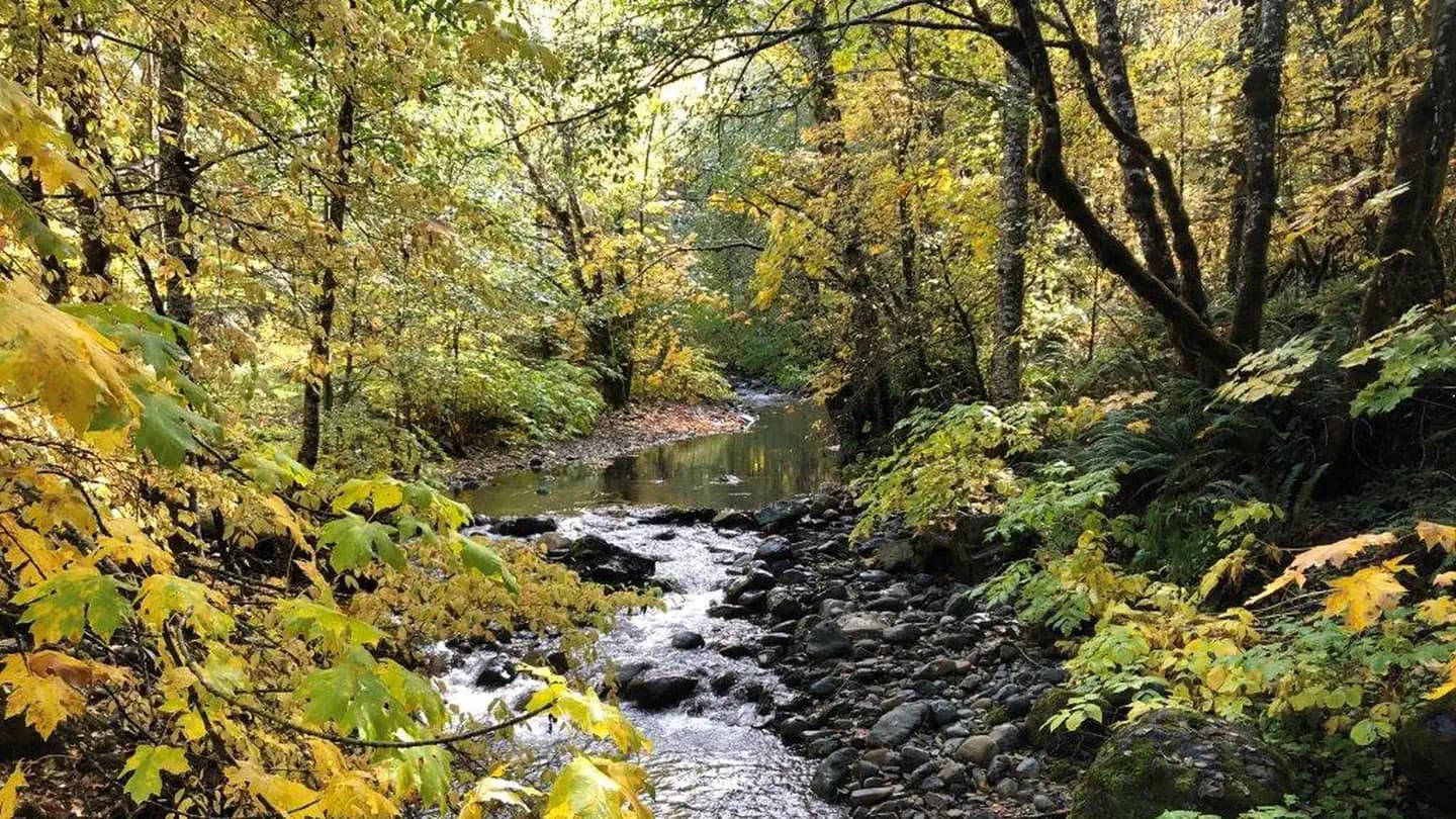 East Fork Campground – Six Rivers NF (CA) campground in US