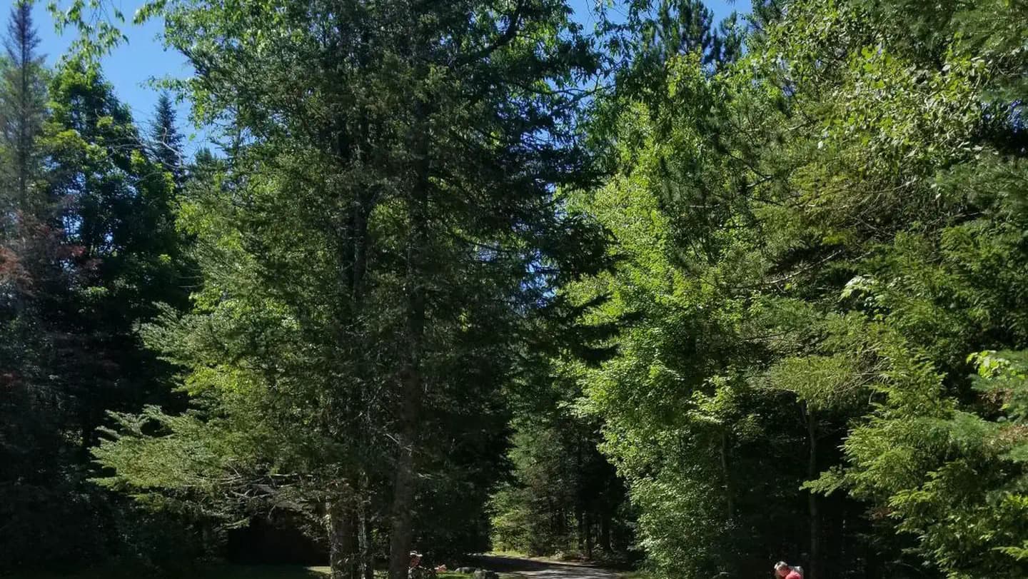 SUGARLOAF 2 CAMPGROUND campground in New Hampshire