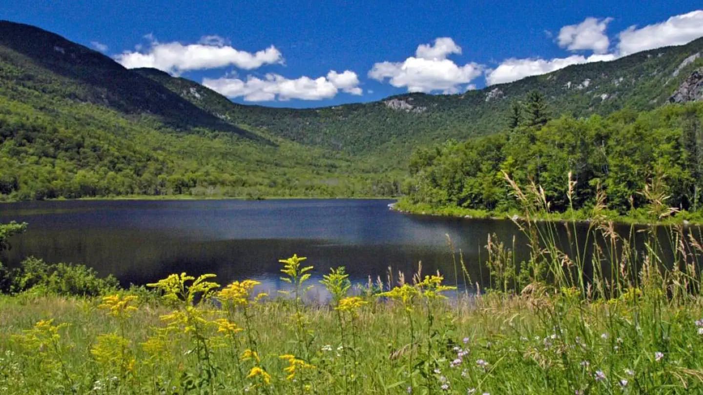 BASIN CAMPGROUND campground in New Hampshire