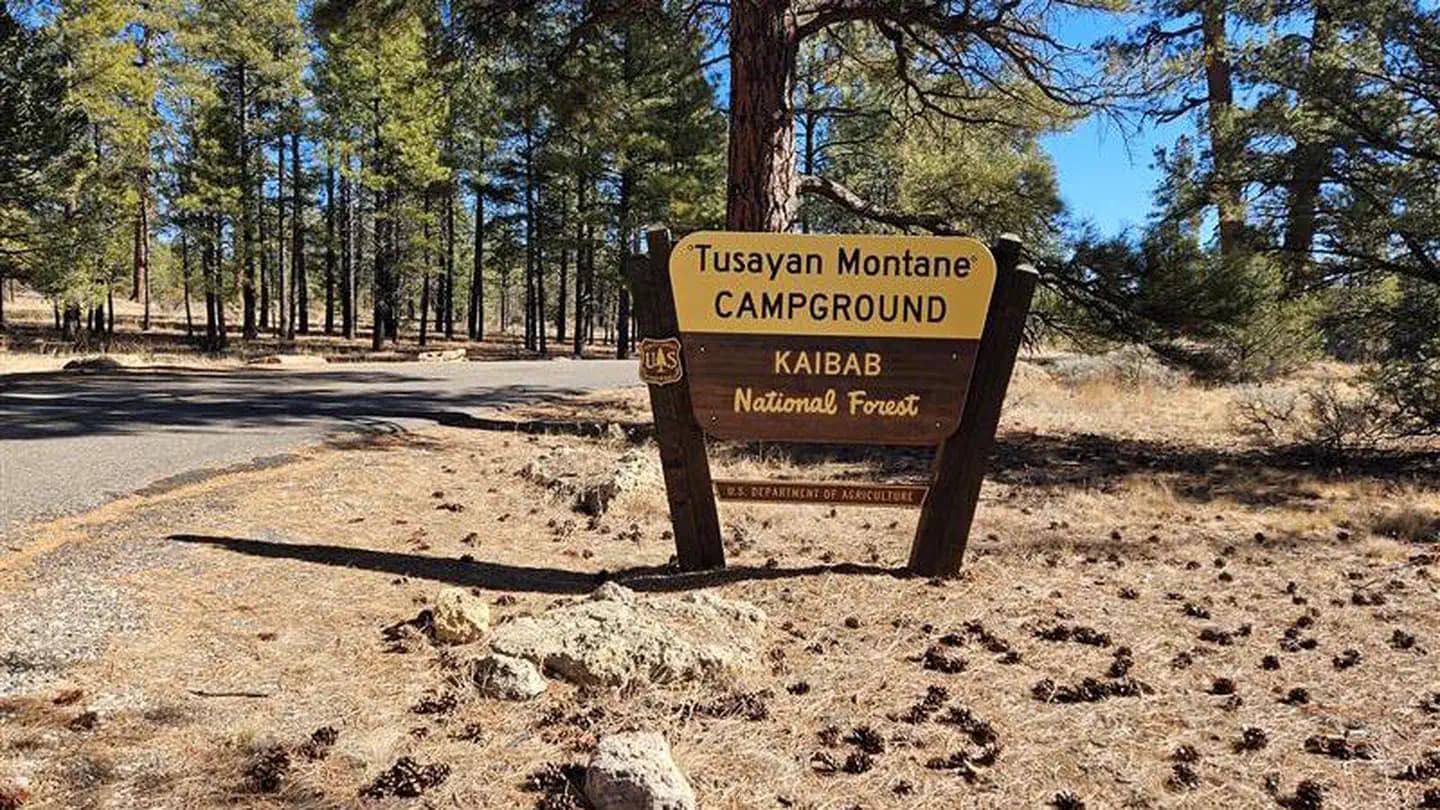 Tusayan - Montane campground in Arizona