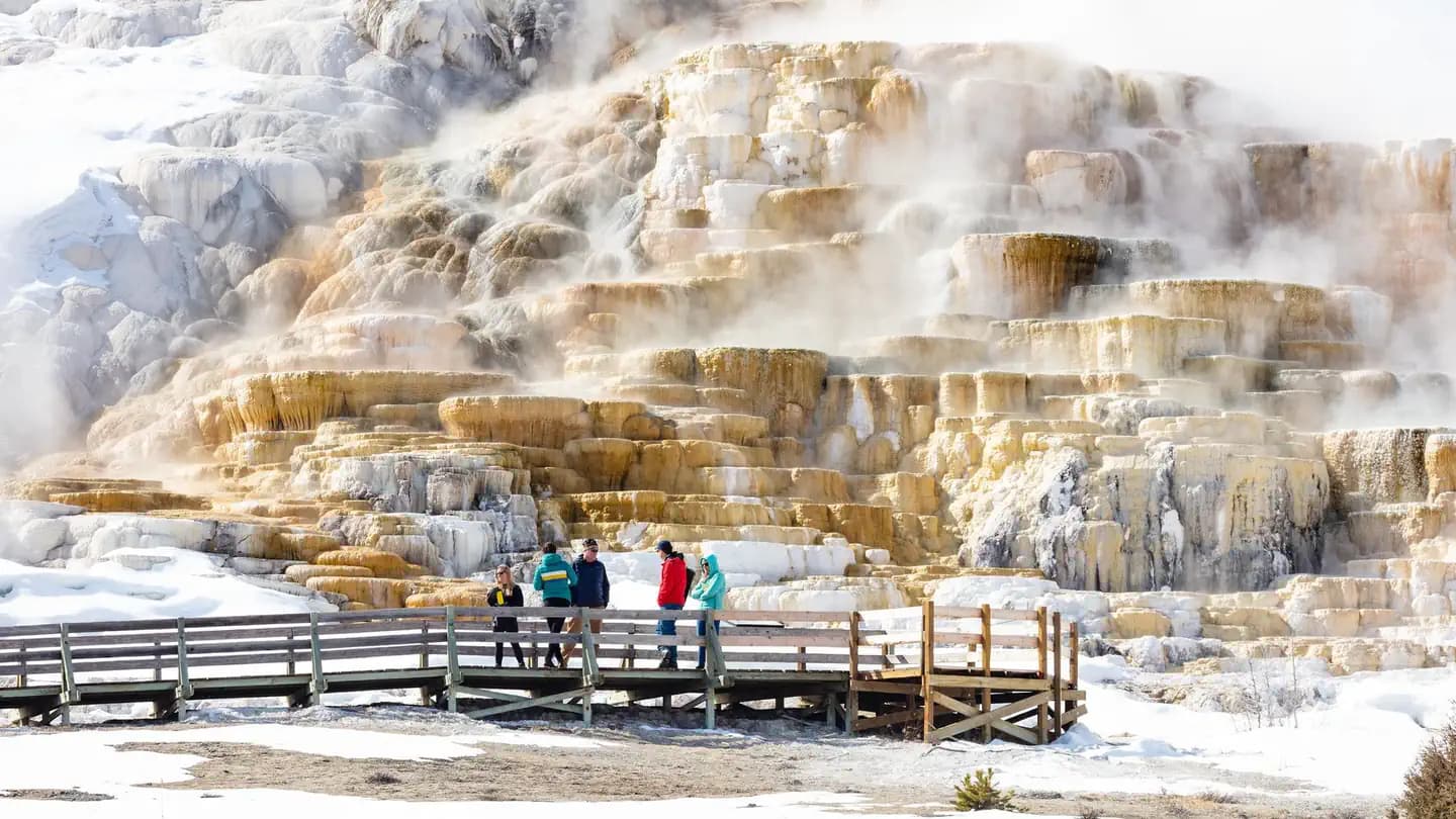 Mammoth Campground (Yellowstone) campground in Wyoming