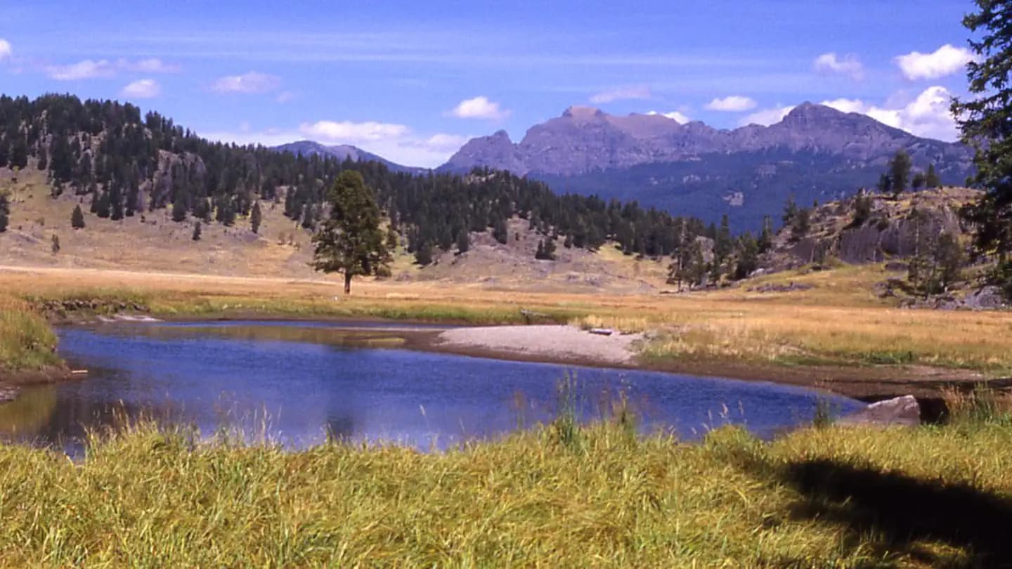 Slough Creek Campground campground in Wyoming