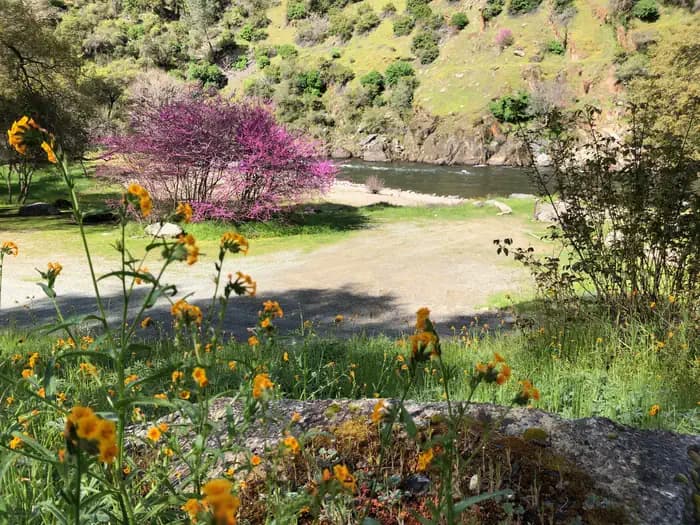 McCabe Flat Campground in California