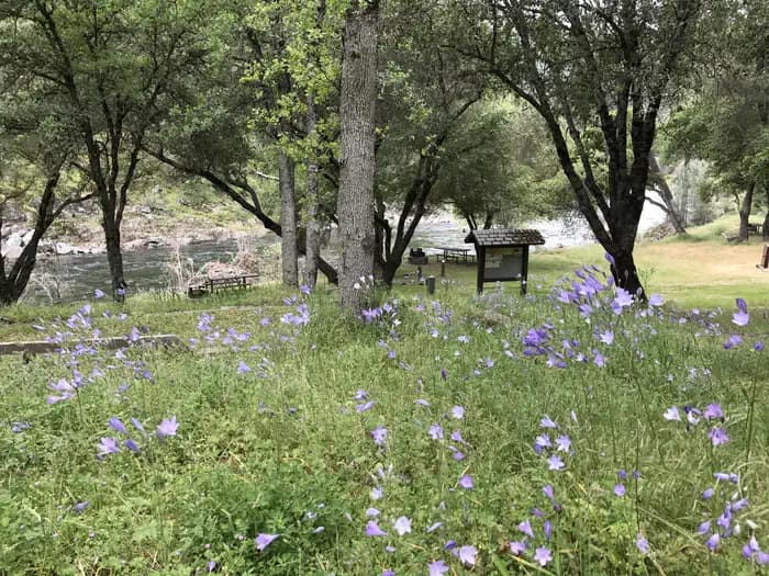 Willow Placer Campground in California