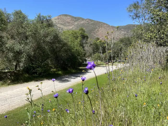 Railroad Flat Campground in California