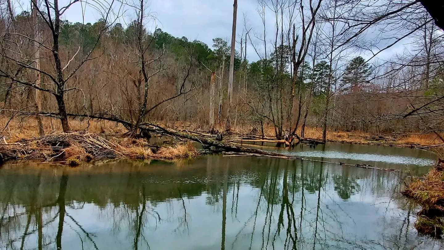 Pocket Campground campground in US