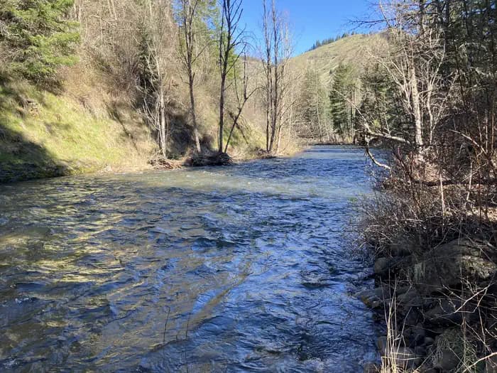 Umatilla Forks Campground in Washington