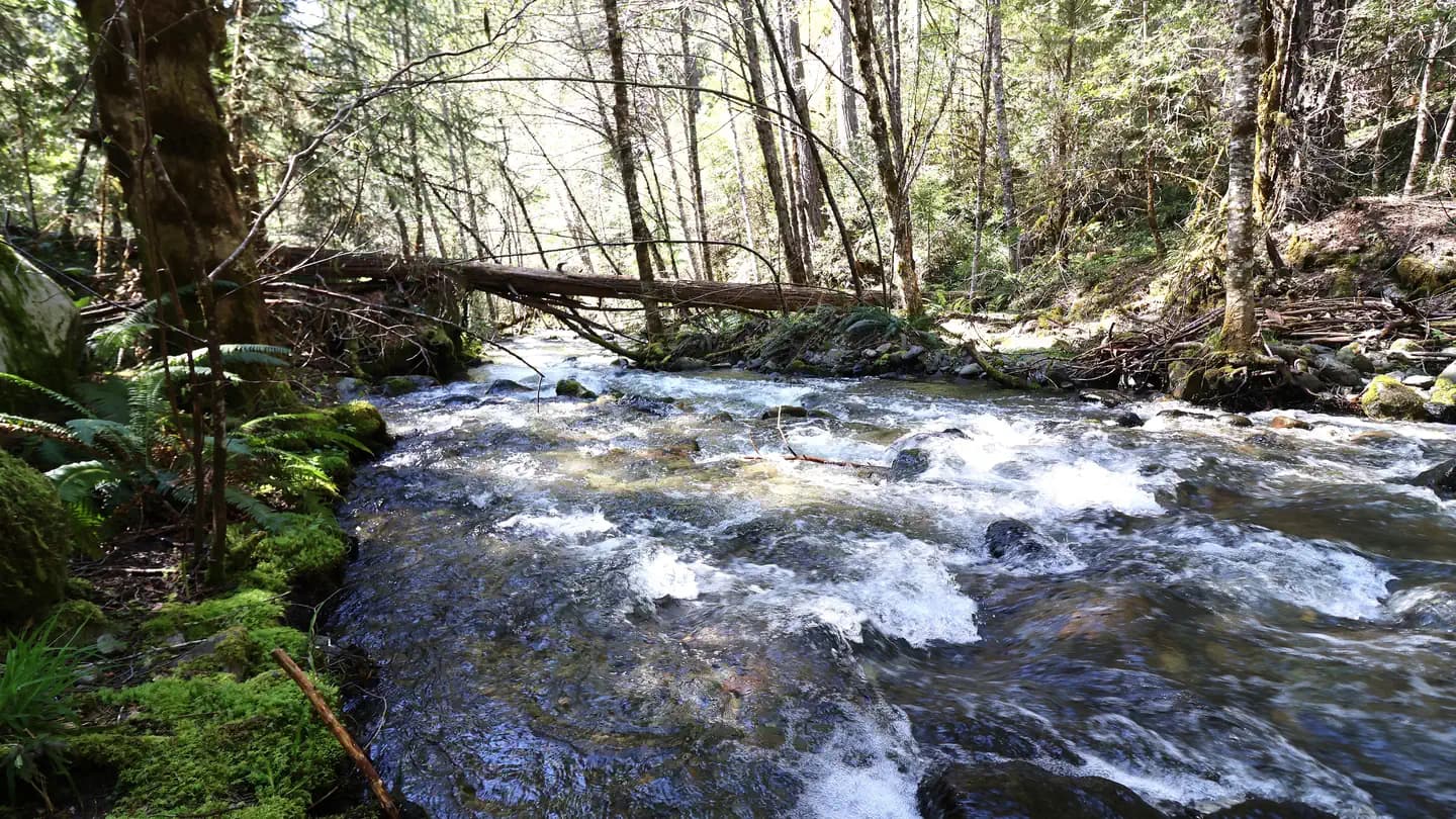 Cave Creek Campground campground in Oregon