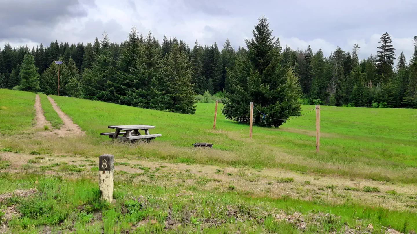 Mt. Adams Hc (Wa) Gifford Pinchot NF Campground in Washington