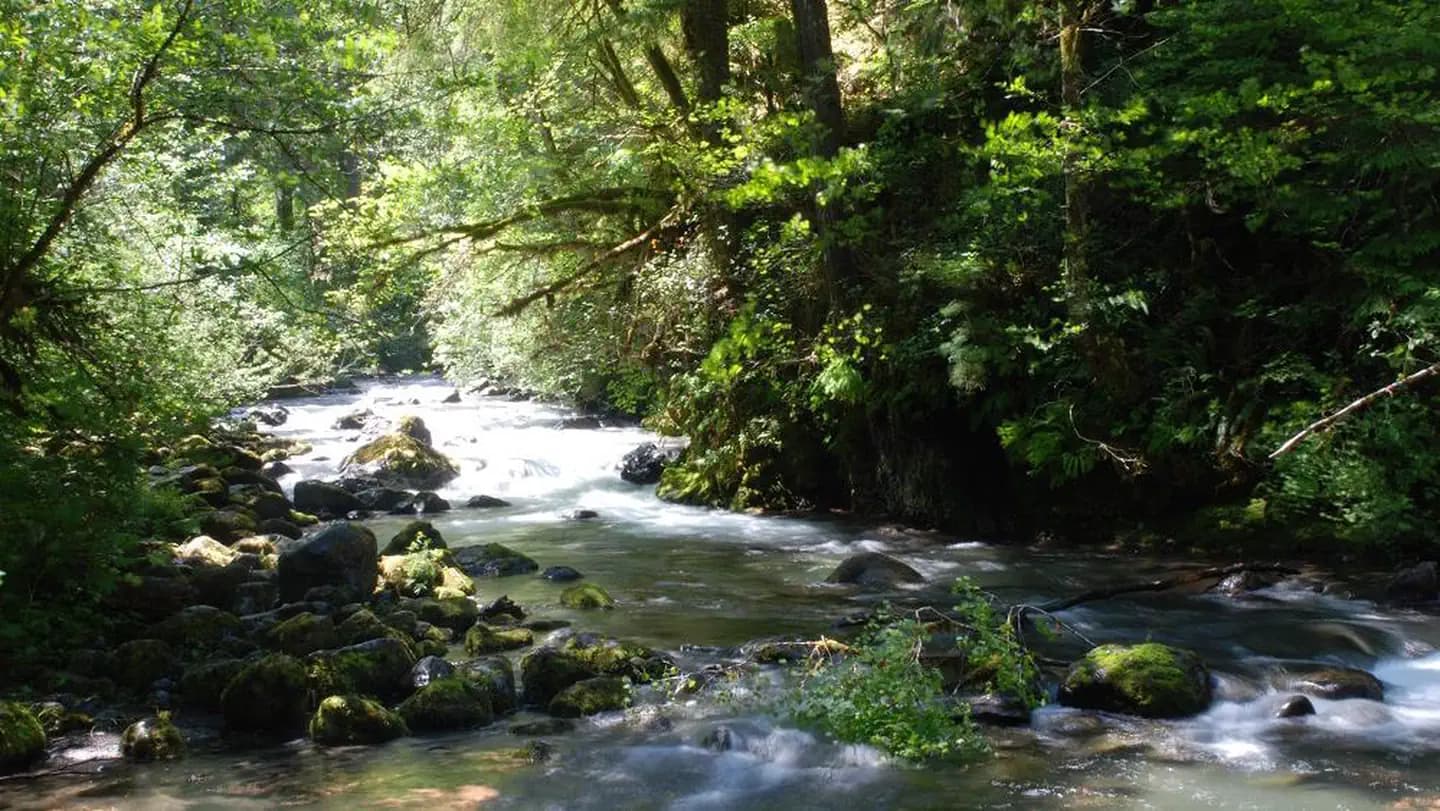 Falls View Campground campground in US