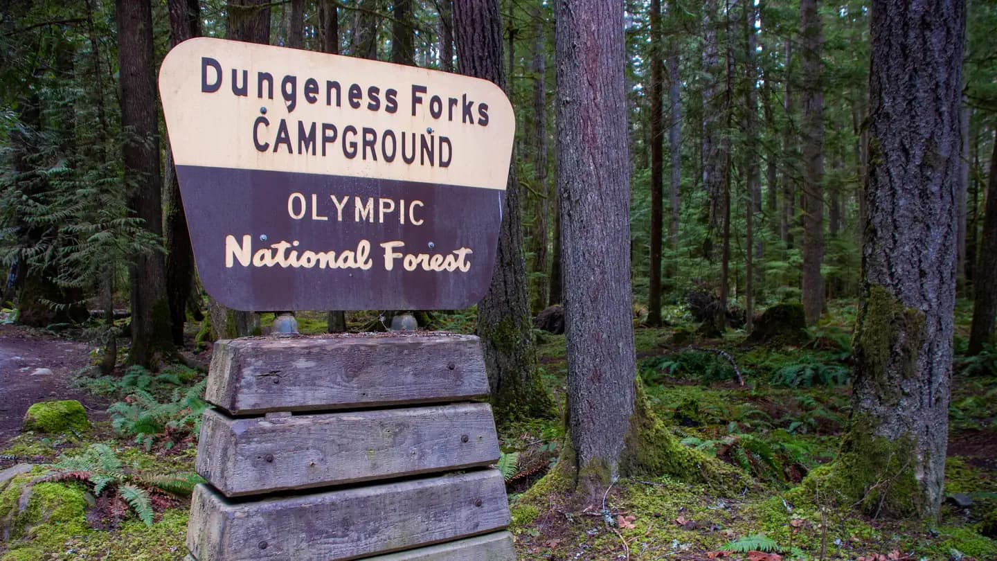 Dungeness Forks Campground campground in US