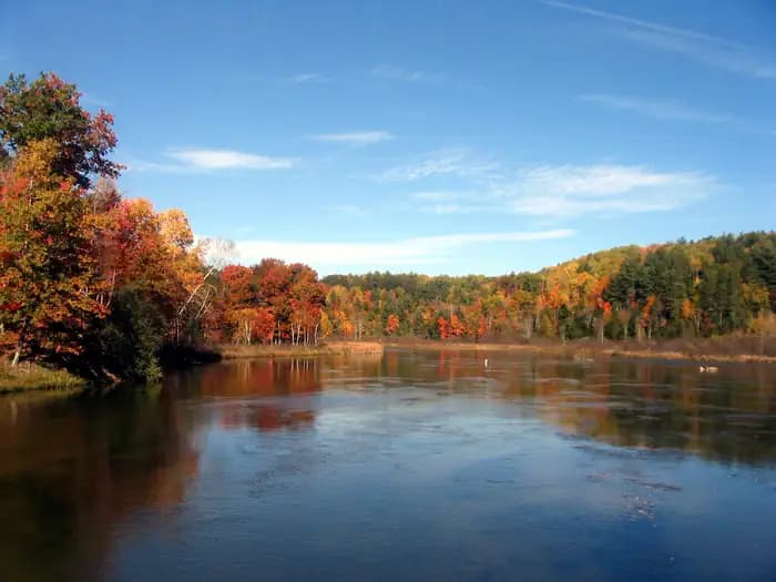 Upper Manistee River Backcountry Campsites campground in US