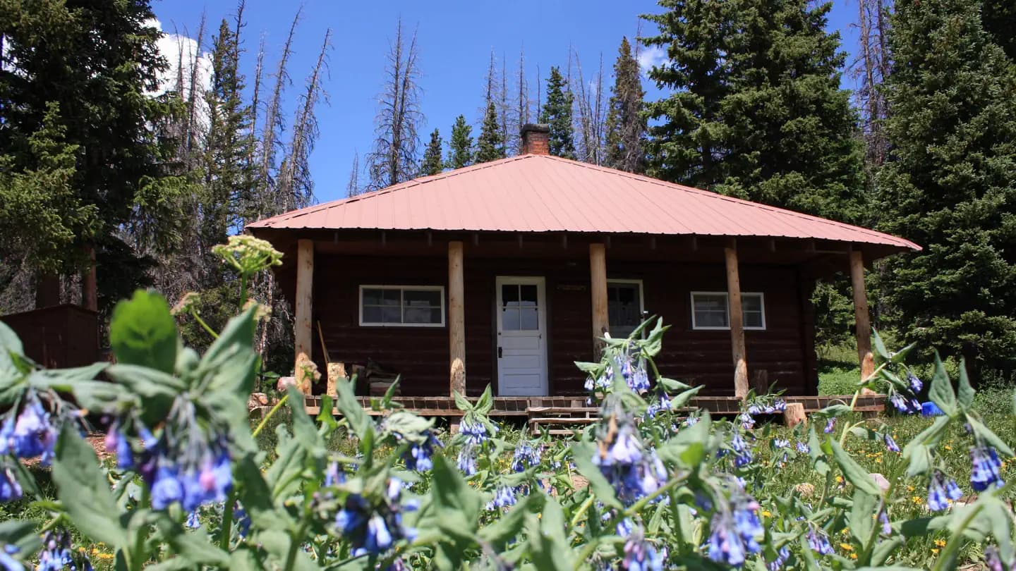 LITTLE BROOKLYN LAKE GUARD campground in Wyoming
