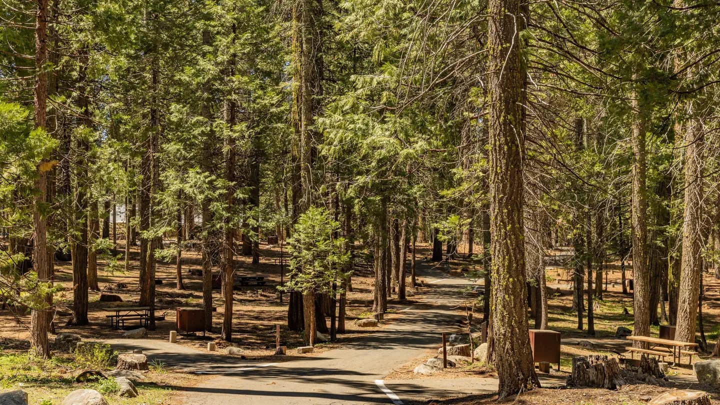 Meadowview Campground campground in California