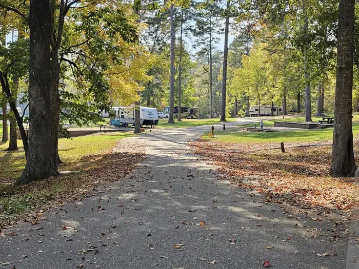 DAVIS LAKE CAMPGROUND campground in Mississippi