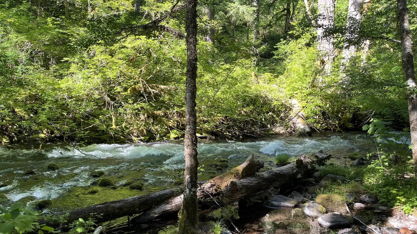 ROARING RIVER (GROUP) campground in Oregon