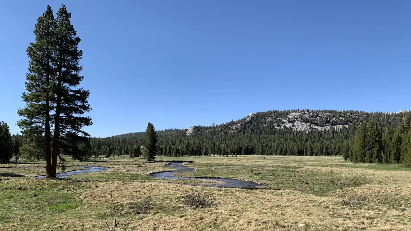 Tuolumne Horse Campsites campground in California