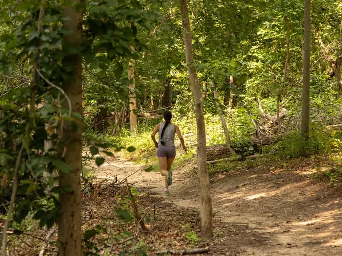 GREENBELT PARK PICNIC AREAS campground in Maryland
