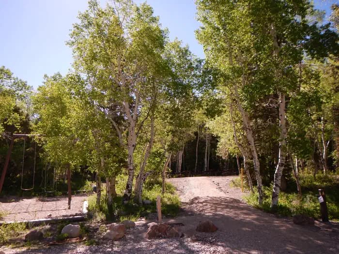 TIMBER CREEK CAMPGROUND campground in Nevada