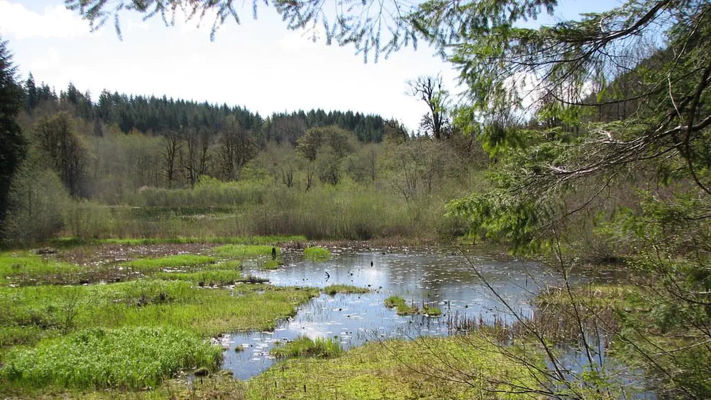 Brown Creek Campground campground in Washington