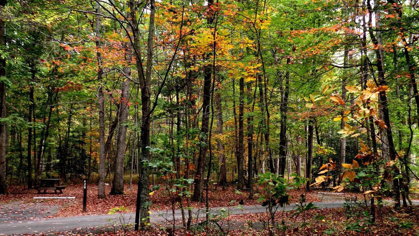 OAK RIDGE CAMPGROUND campground in Virginia