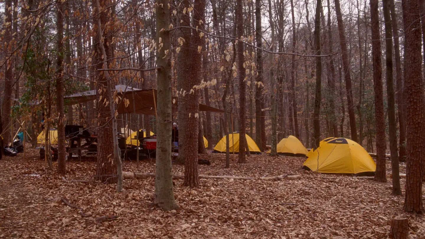 TURKEY RUN RIDGE GROUP campground in Virginia