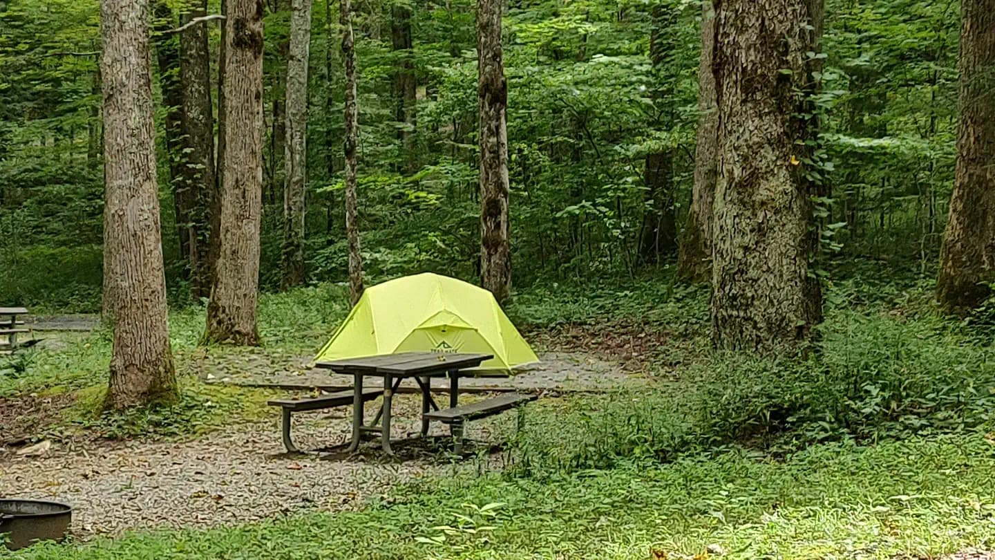 COSBY CAMPGROUND campground in Tennessee