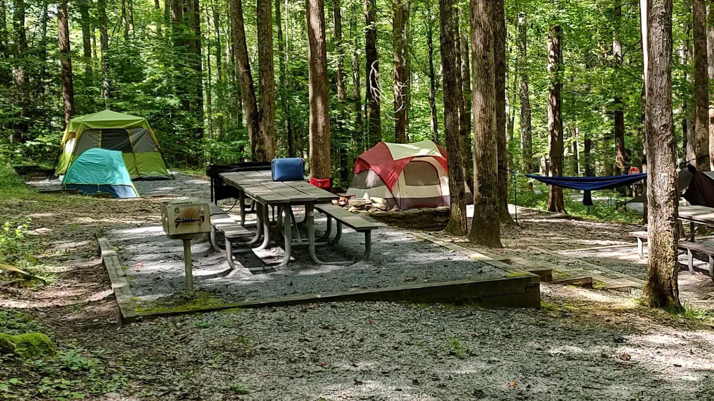 COSBY GROUP CAMP campground in Tennessee