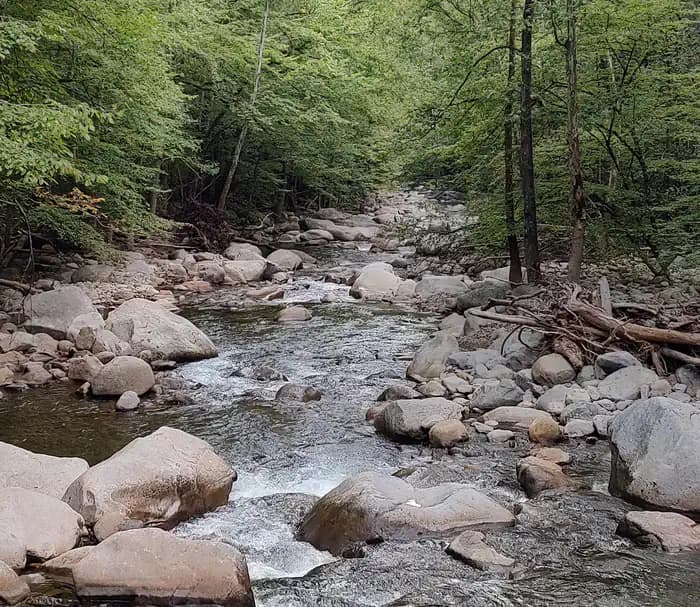 BIG CREEK GROUP CAMP campground in North Carolina
