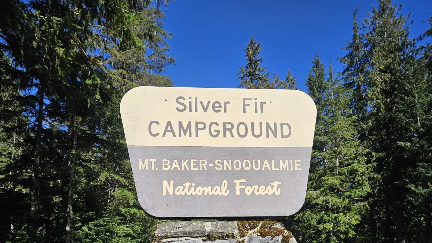 Silver Fir Campground campground in Washington