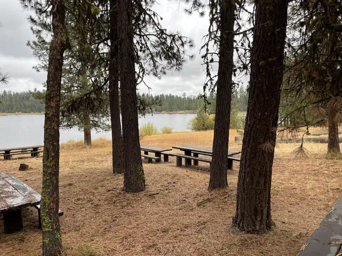 Delintment Lake Campground campground in Oregon