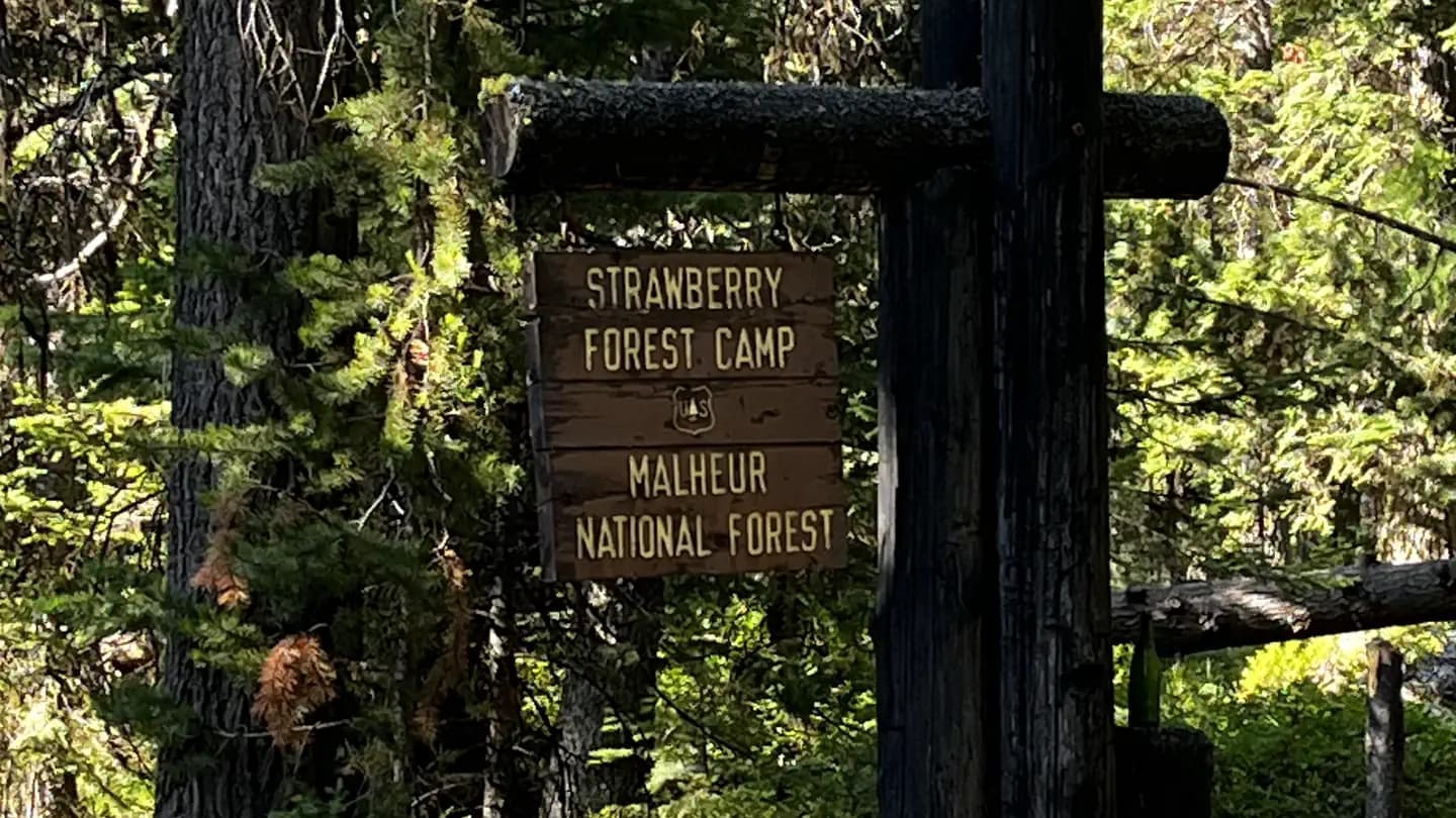 Strawberry Campground
campground in Oregon