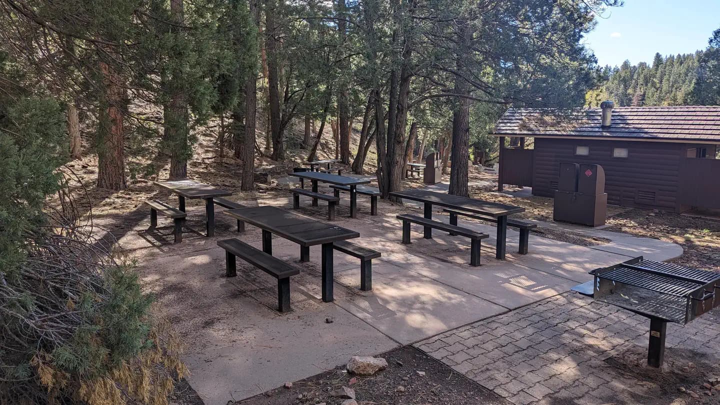 CIENEGA PICNIC SITE campground in New Mexico