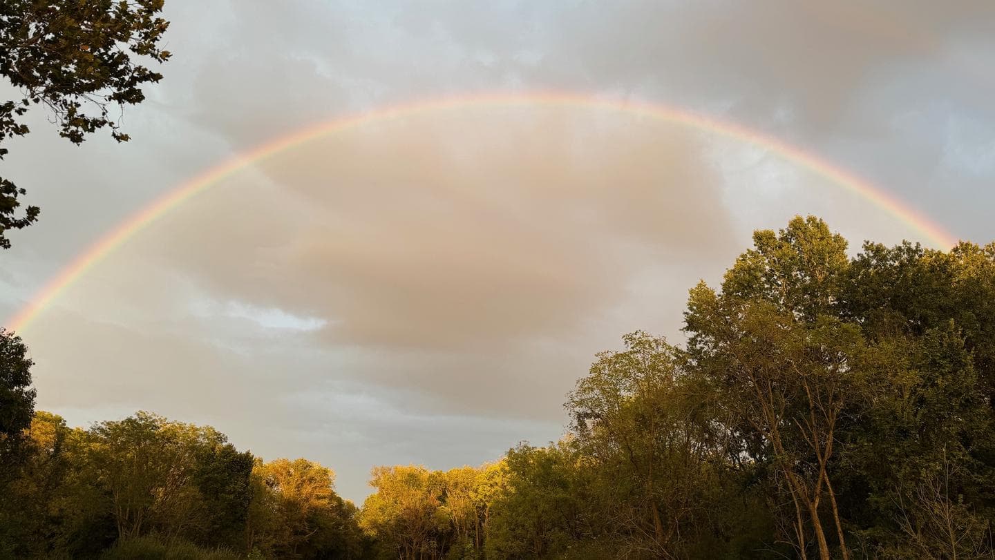 NORTH SANDUSKY CAMPGROUND campground in Illinois