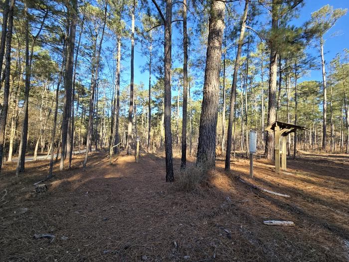Leroys Ferry Campground campground in US