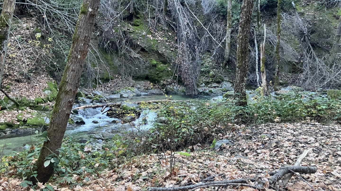 CRYSTAL CREEK PRIMITIVE CAMPGROUND campground in California