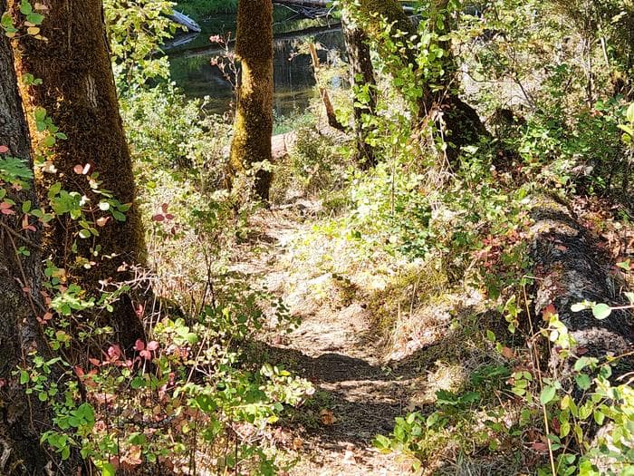 Boulder Creek Campground campground in Oregon